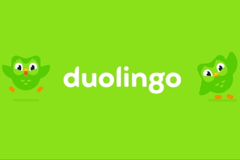 banner doulingo mod