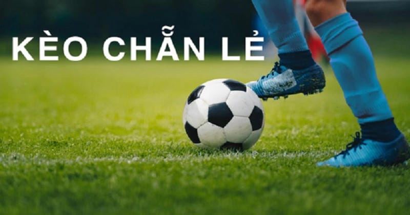 Lợi ích của việc theo dõi trận đấu hàng ngày