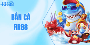 Săn nhịp vui, bắn chuẩn—bản đồ thực chiến cho Bắn cá RR88