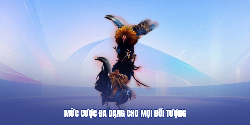 Mức cược đa dạng cho mọi đối tượng