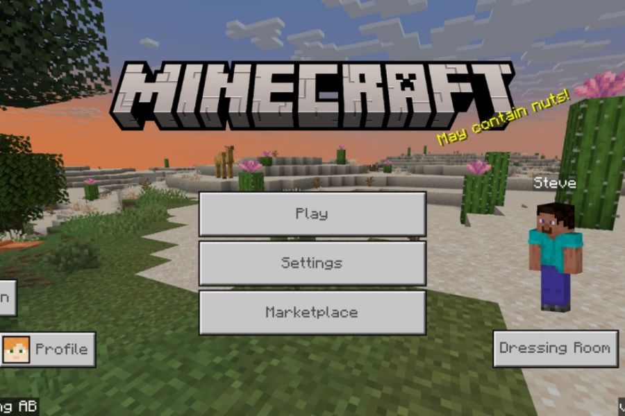 banner Minecraft 1.21.80