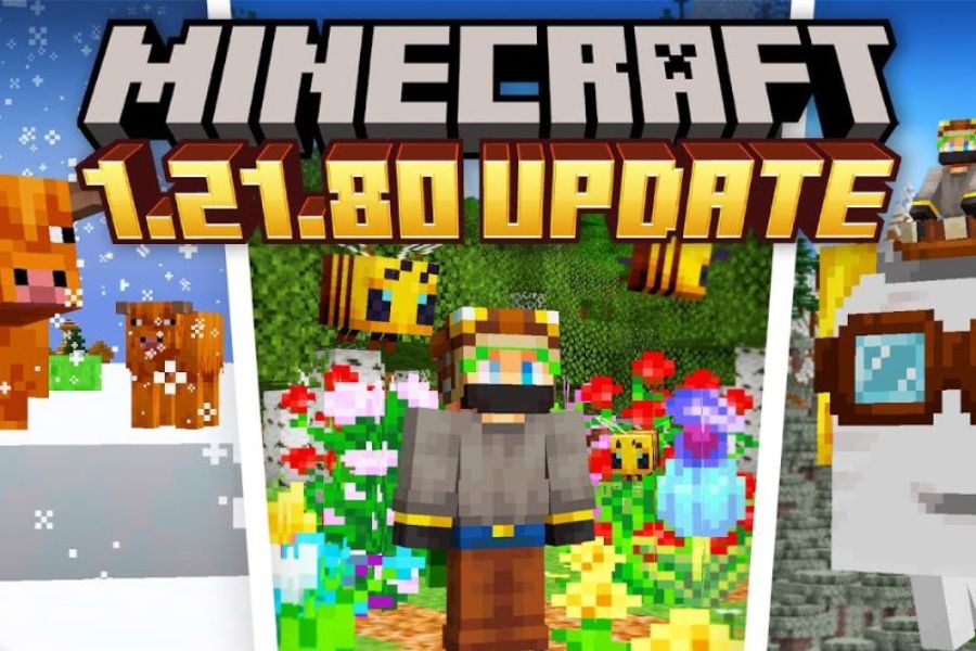 banner Minecraft 1.21.80