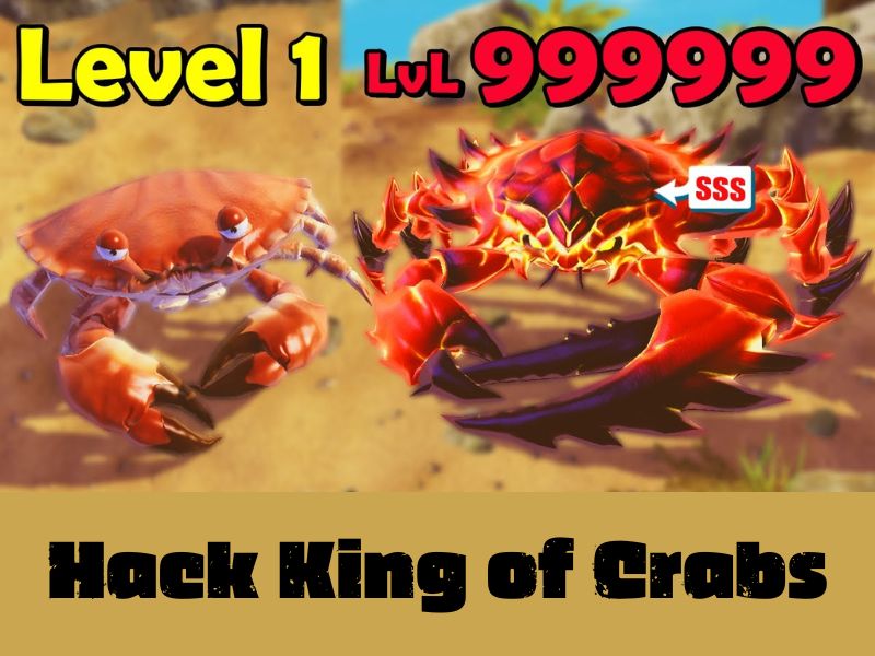 Những Tính Năng Nổi Bật Của Phiên Bản Hack King Of Crabs