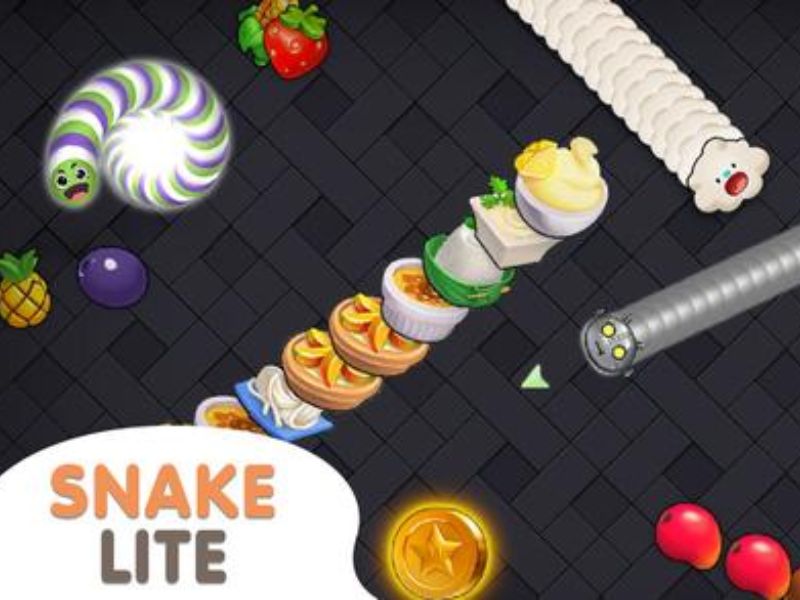 Giới Thiệu Về Hack Snake Lite